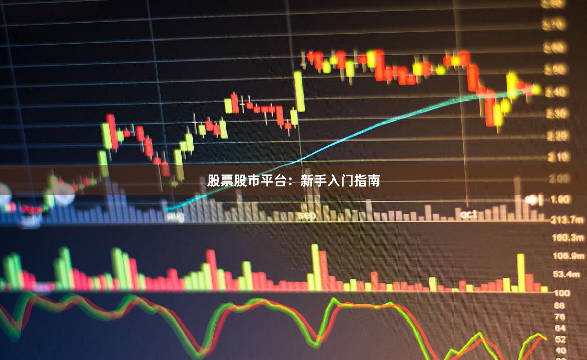 股票股市平台：新手入门指南